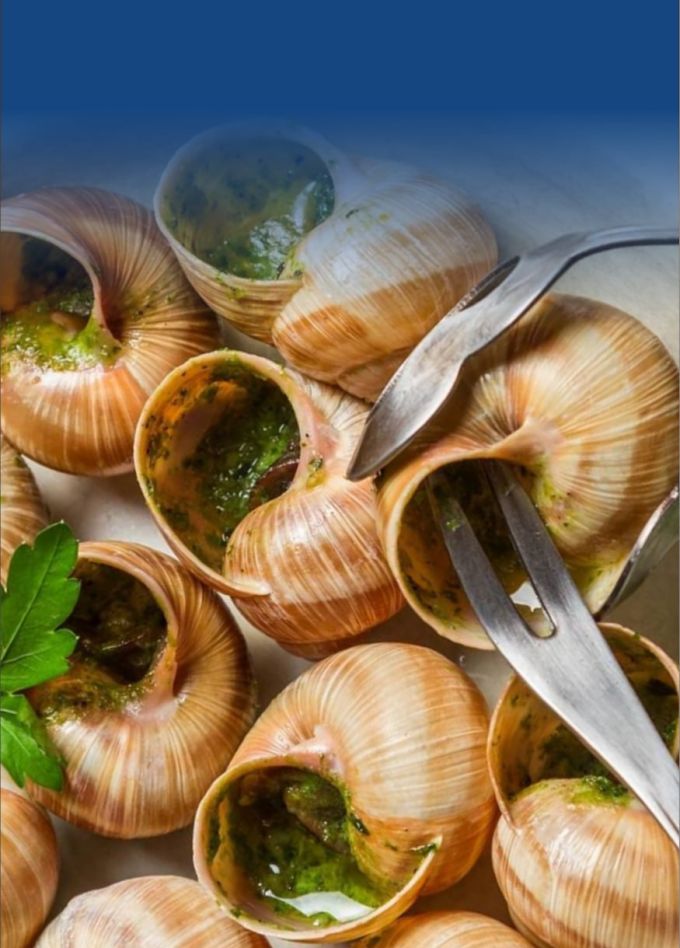 Гастротур на улиточную ферму